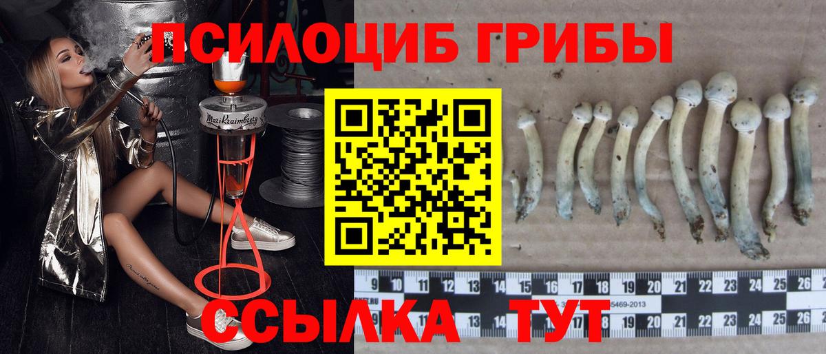 Галлюциногенные грибы Magic Shrooms  Вход с VPN  Полевской 
